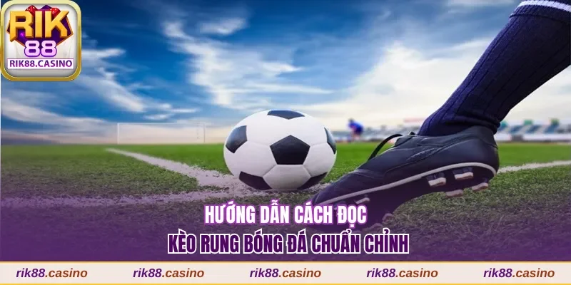 Hướng dẫn cách đọc kèo rung bóng đá chuẩn chỉnh