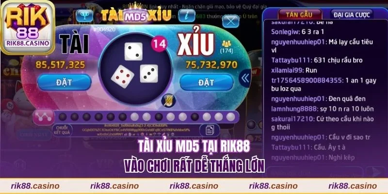 Tài xỉu MD5